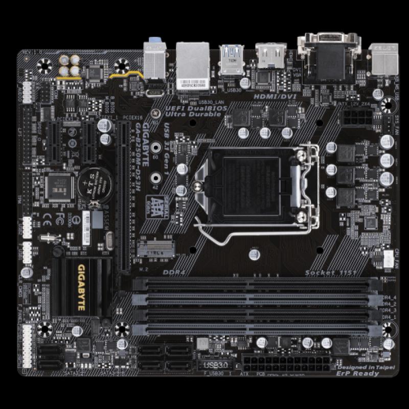 GIGABYTE B250M-DS3H USB3,1 DVI HDMI Gbit LAN LGA1151 6-7.Nesil